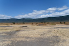 N'Gorongoro