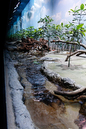 _MG_1157_DXO