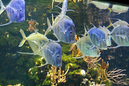 _MG_1166_DXO